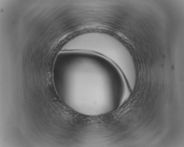 X0000073850822200608101000