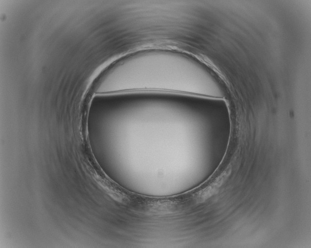 X0000073850830200608101000