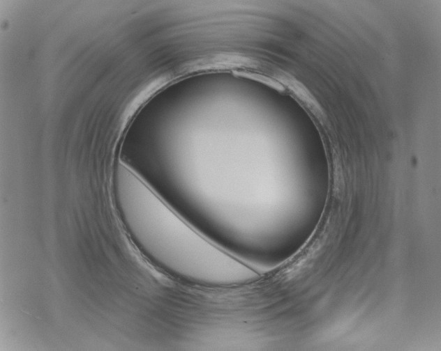 X0000073850850200608101001
