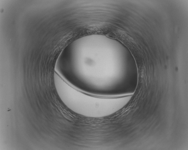 X0000073850868200608101000