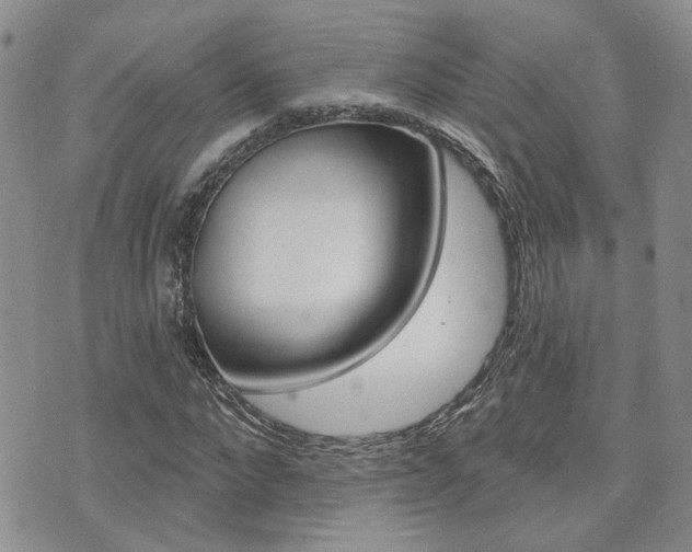 X0000073850872200608101000
