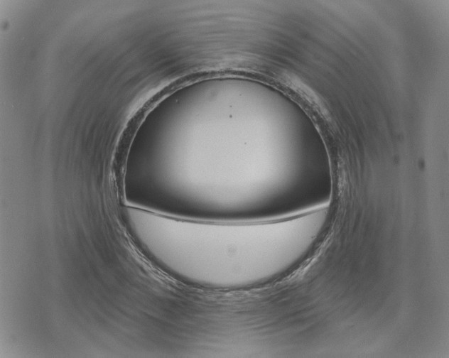 X0000073850876200608101000