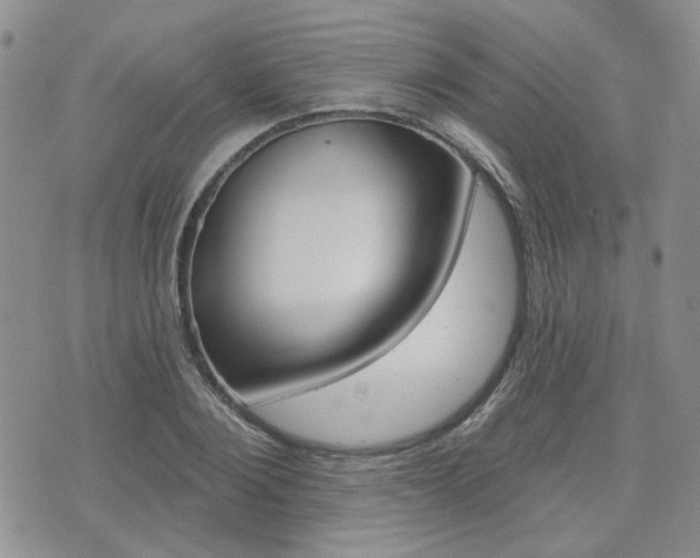 X0000073850884200608101000