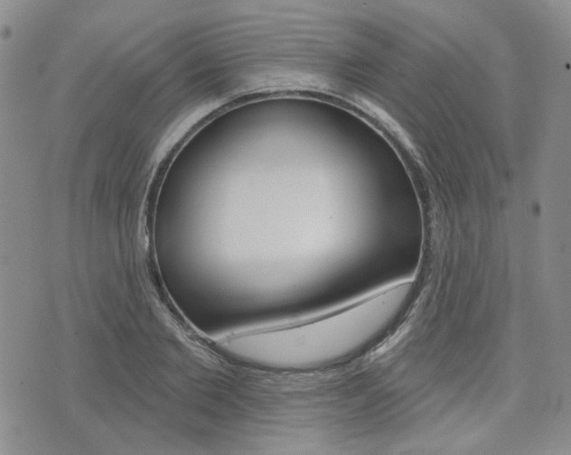 X0000073850885200608101000