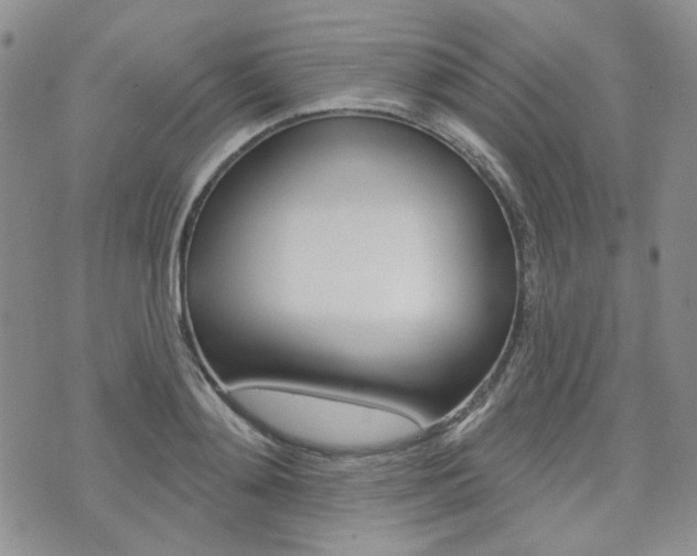 X0000073850892200608101000