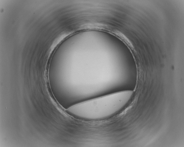 X0000073850893200608101000