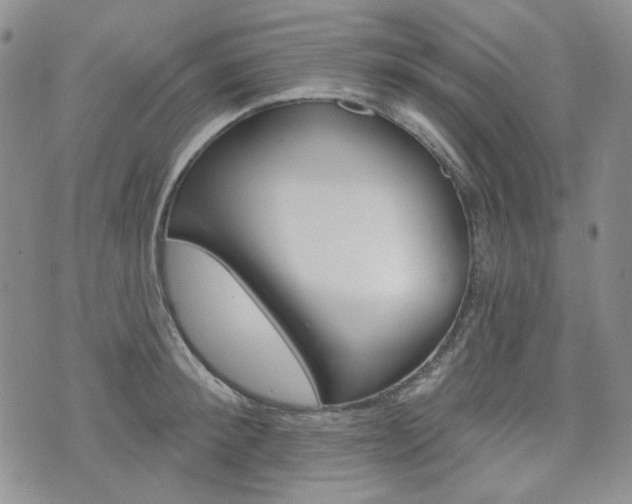X0000073850900200608101000