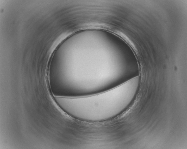 X0000073850901200608101000