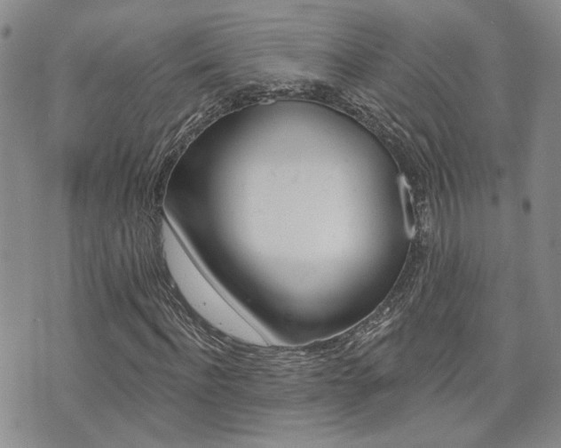 X0000073850916200608100959