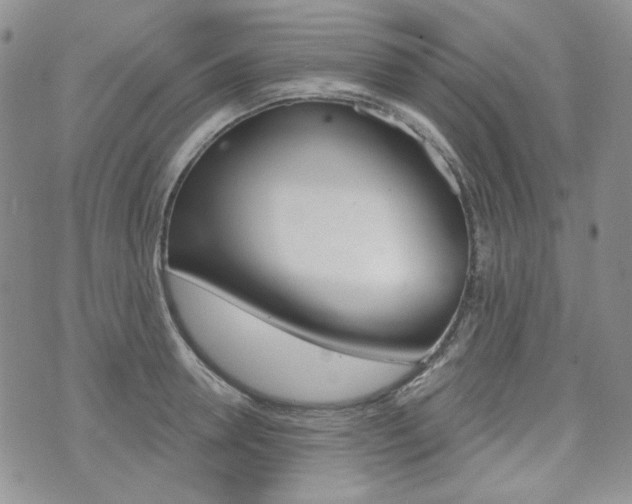 X0000073850946200608100959