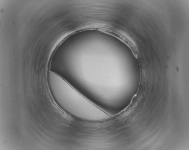 X0000073850948200608100959