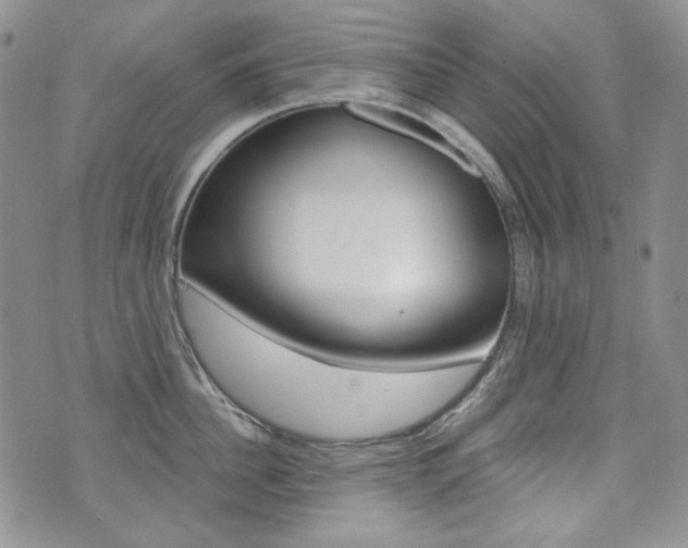 X0000073850956200608100959