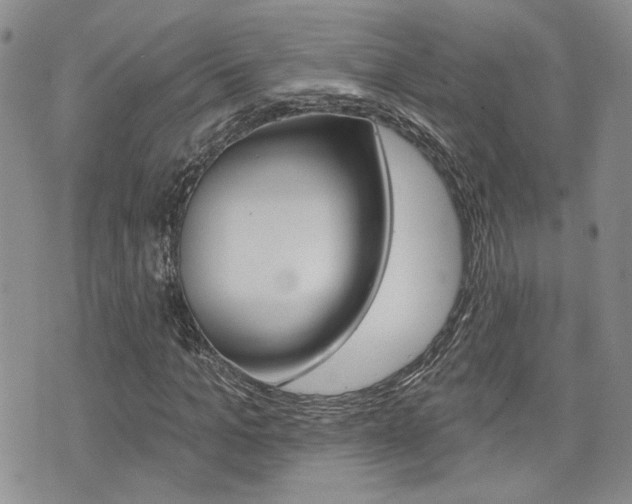 X0000073850965200608100958