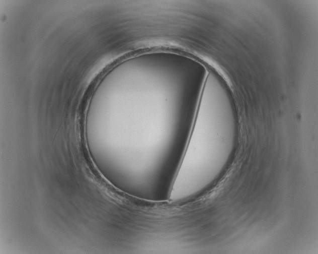 X0000073850983200608100958