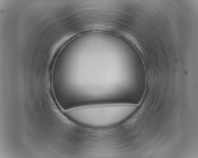 X0000073850987200608100958