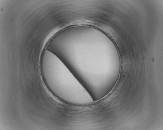 X0000073850990200608100958