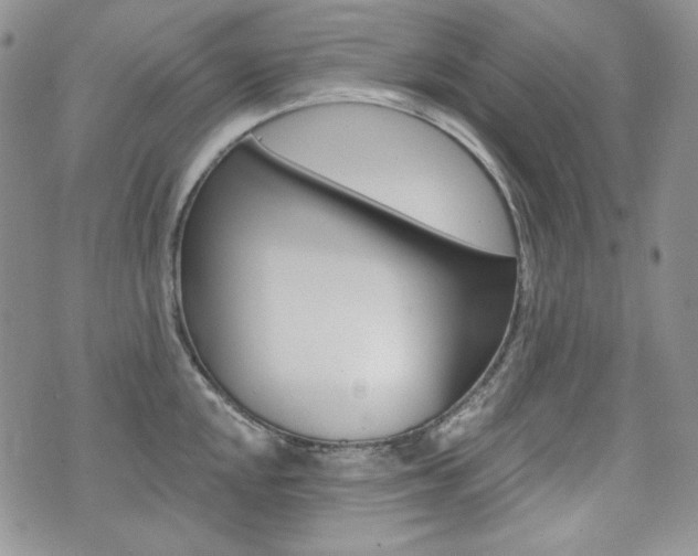X0000073851048200608100958