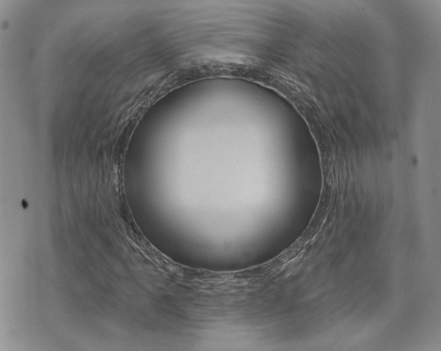 X0000073851061200608100957
