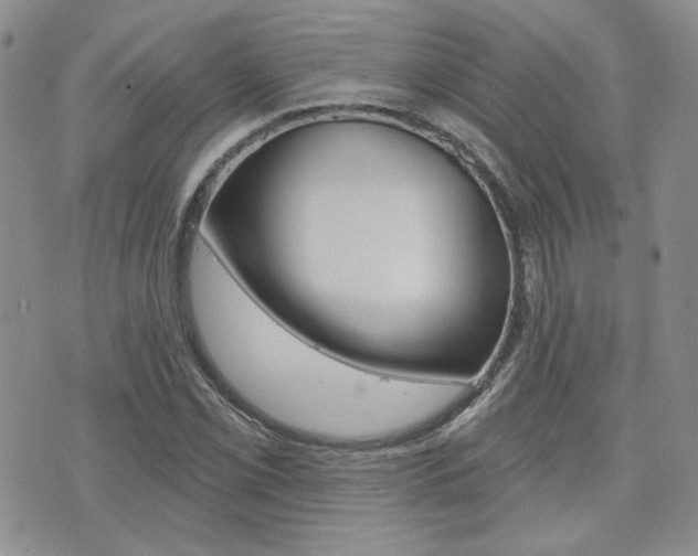 X0000073851069200608100957