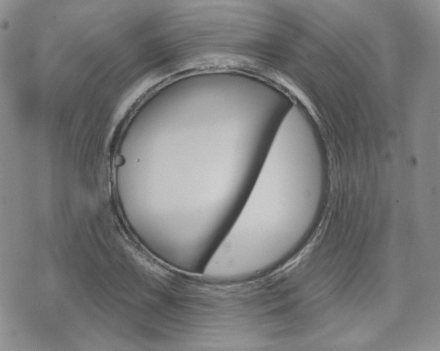 X0000073851075200608100957