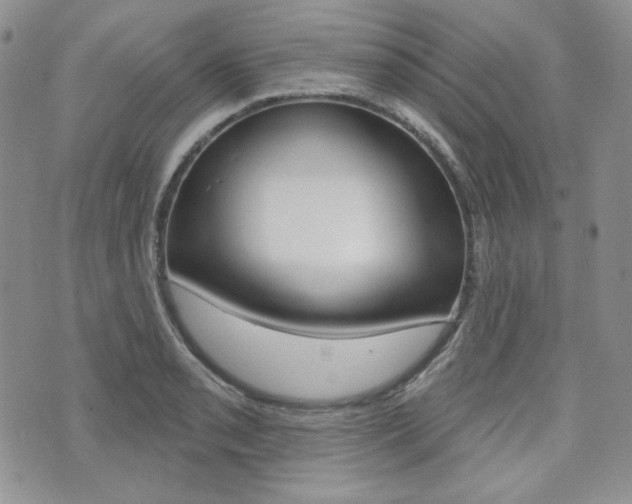 X0000073851085200608100957