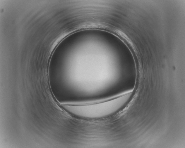 X0000073851089200608100956