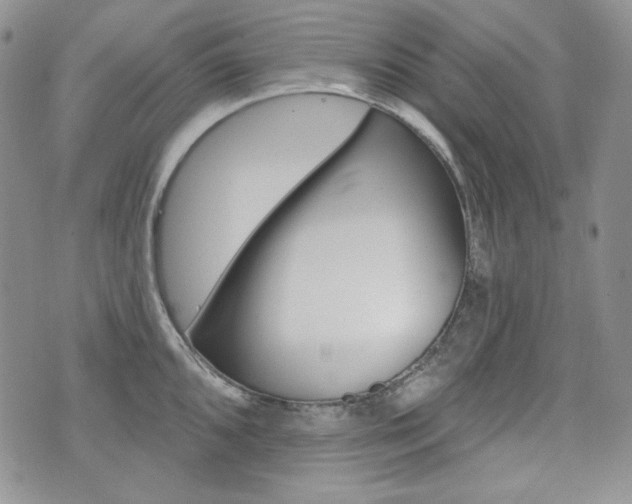 X0000073851096200608100956