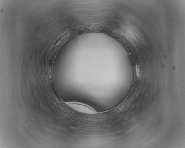 X0000073851107200608100955