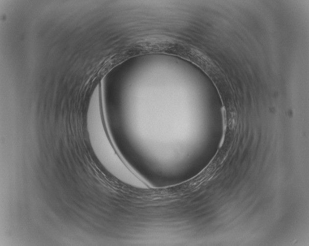 X0000073851108200608100956