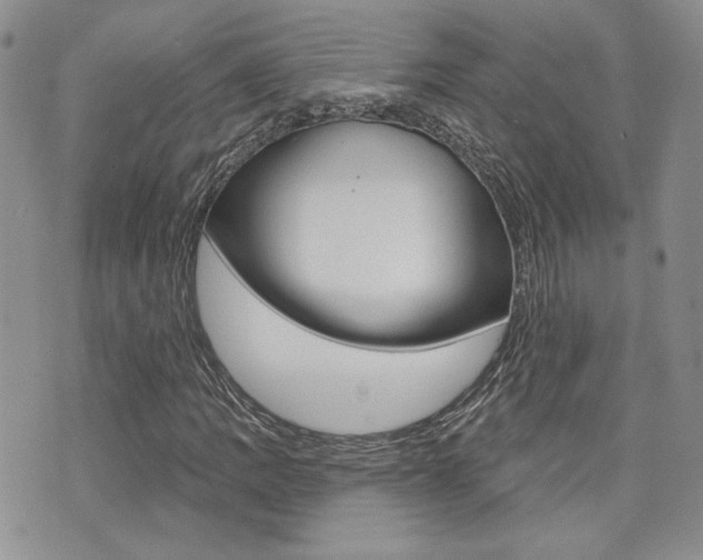 X0000073851109200608100956