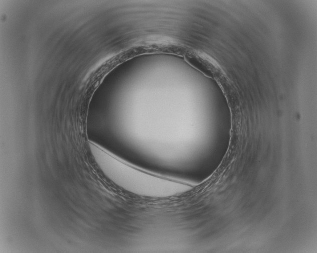 X0000073851112200608100956