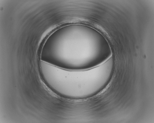 X0000073851122200608100956