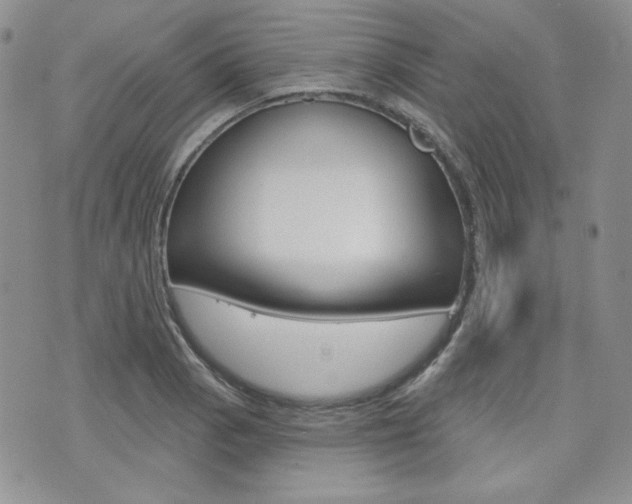 X0000073851129200608100956