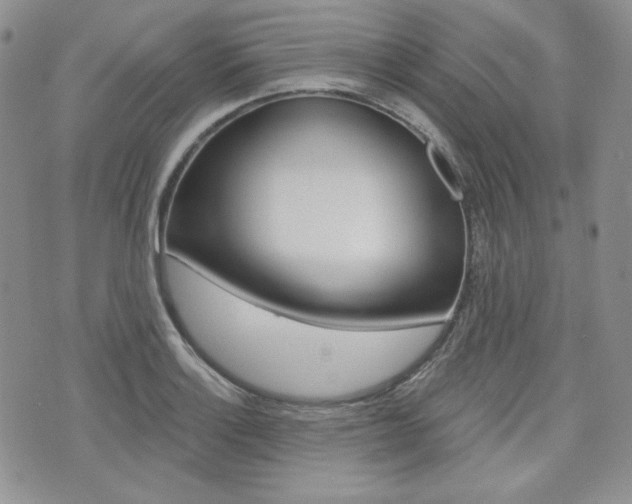 X0000073851132200608100956