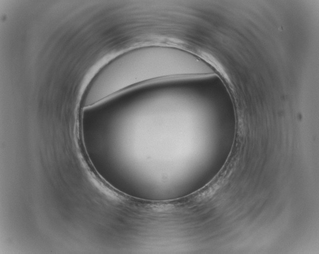 X0000073851136200608100956