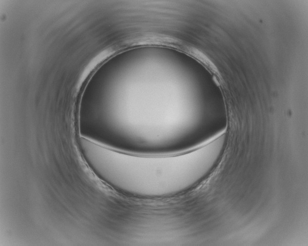 X0000073851138200608100956