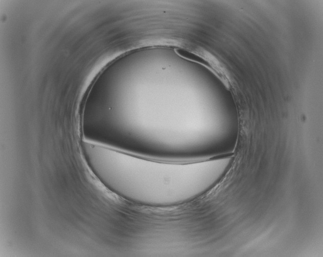 X0000073851140200608100956