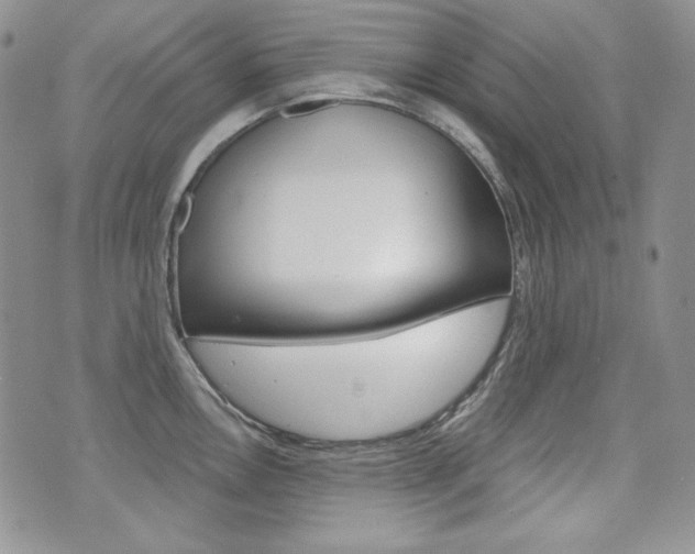 X0000073851146200608100956