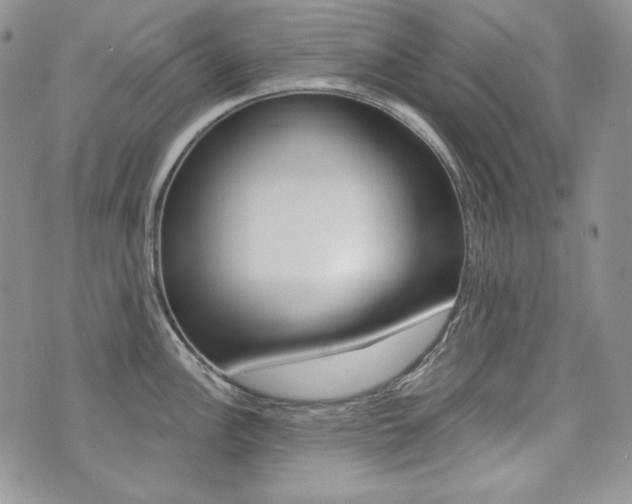 X0000073851148200608100956