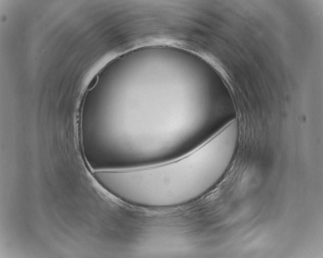 X0000073851151200608100956