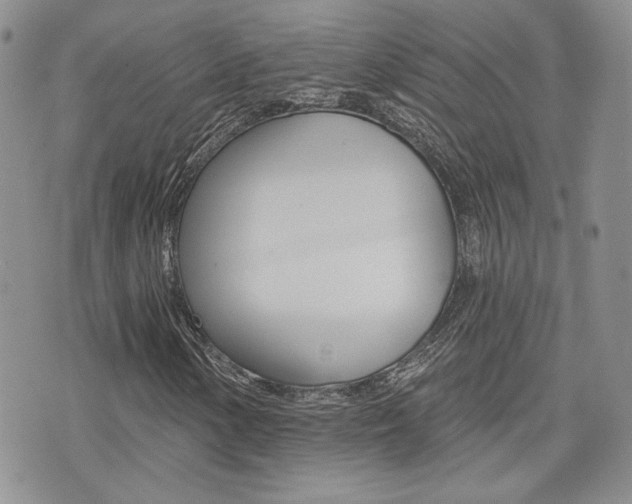 X0000073851154200608100955