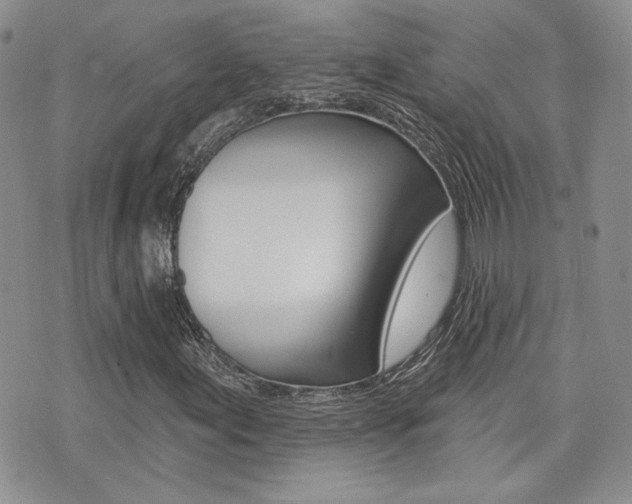 X0000073851155200608100955