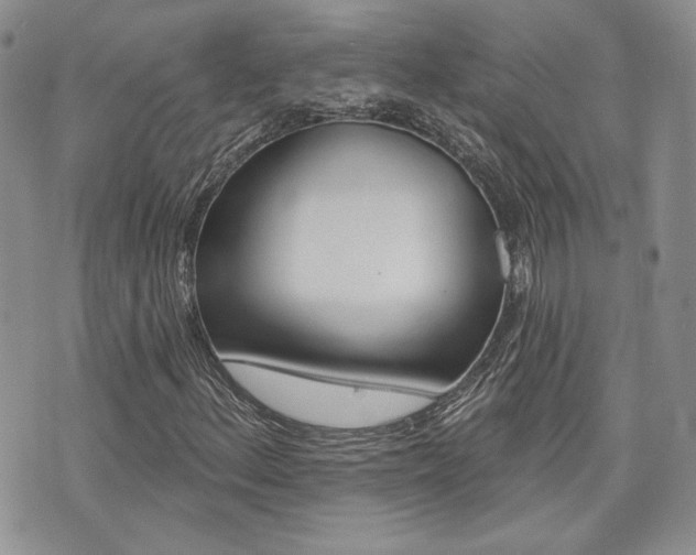 X0000073851156200608100955