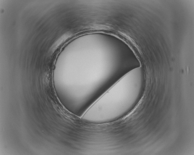 X0000073851163200608100955