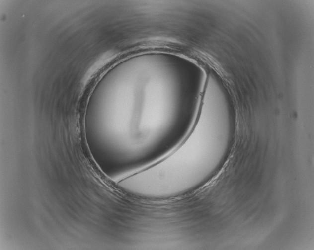 X0000073851164200608100955