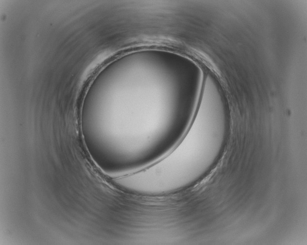 X0000073851172200608100955