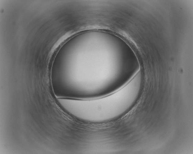X0000073851173200608100955