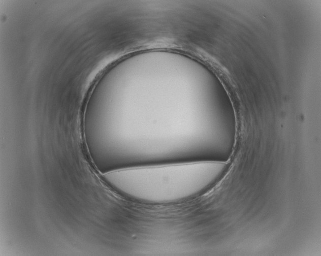 X0000073851174200608100955