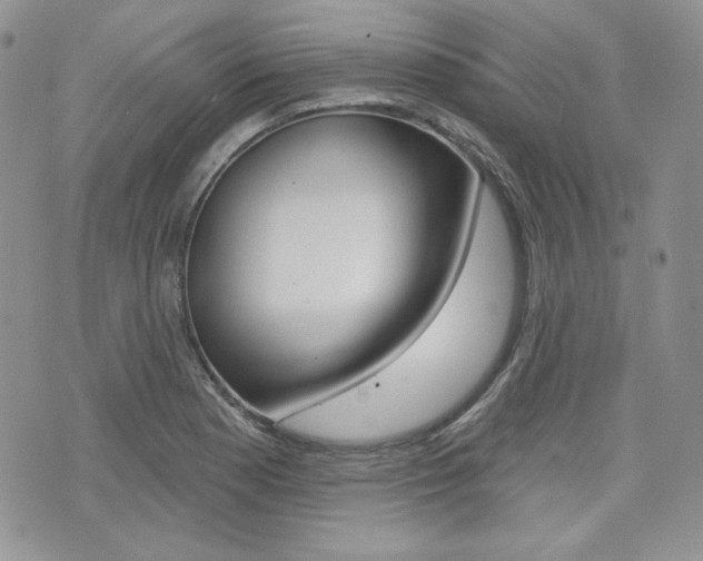 X0000073851177200608100955