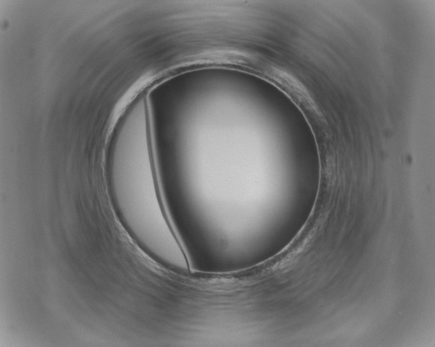 X0000073851180200608100955